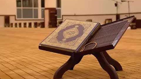 عمر عبدالعزيز الصومالي - ما تيسر من سورة النساء