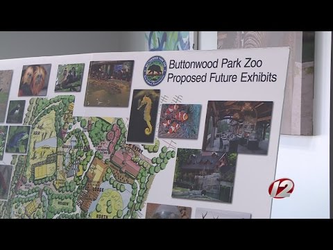 Видео: Buttonwood Park амьтны хүрээлэн хаана байдаг вэ?