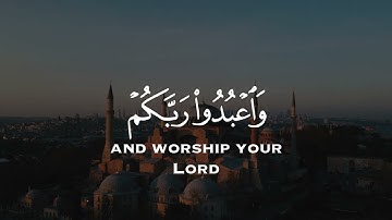 يا أيها الذين آمنوا اركعوا واسجدوا واعبدوا ربكم وافعلوا الخير | سورة الحج | القارئ عبدالرحمن مسعد