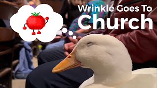 Wrinkle Goes To Church