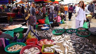 The Best Cambodian Fish Market Scene  Amazing Second Site Distribute Alive Fish, Dry Fish & Seafood