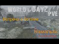 DAYZ боты Намальск первые встречи