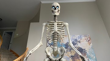 Unboxing/setup of 12 ft Skeleton from Home Depot!