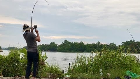 Buổi chiều mưa gió tại điểm câu đường xương cá 1 bình chánh