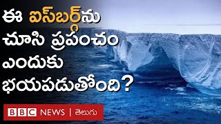 Iceberg: ప్రపంచంలో అతిపెద్ద ఐస్‌బర్గ్ కదులుతుంటే అంతా ఎందుకు భయపడుతున్నారు? | BBC Telugu