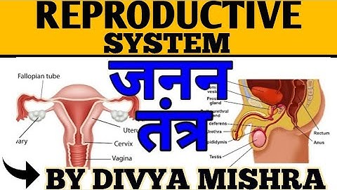 #Reproductive_System /Junior_Aided_Teaching_class/TGT/PGT/UPSSSCJE/#NTPC/RRBJE/SSCJE/LT/NET/RPSC/GIC
