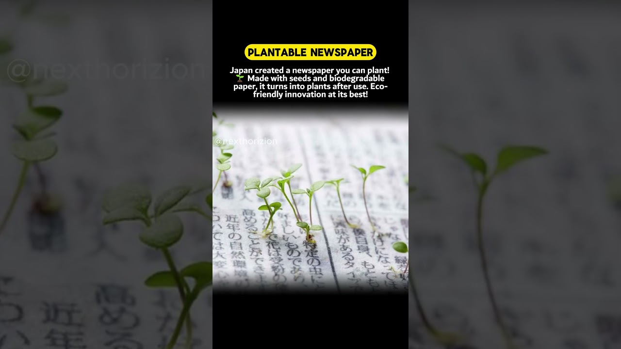 Japan's Plantable Newspaper: Grow Your News! 📰🌿