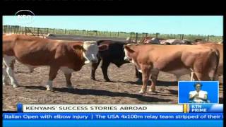 Daring Abroad: Willy Kathurima - Kenyan beef farmer in Botswana