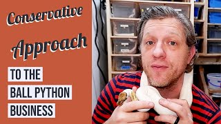 Ball Python Business Plan - My unpopular approach