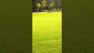 SG FREREN VS VORWÄRTS NORDHORN || (8)