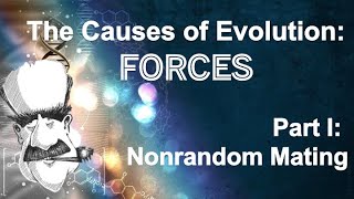 Nonrandom Mating | The Causes of Evolution | Ep. 2