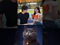 carrying boyfriend 😹 #funny #cat #memes #tiktok #dance