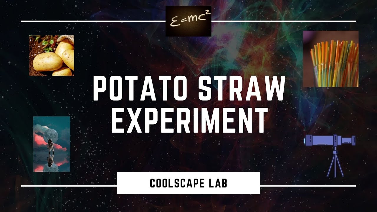 Potato Straw Experiment