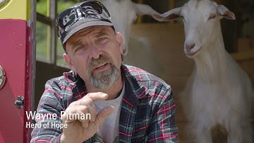 Goat-Scaping