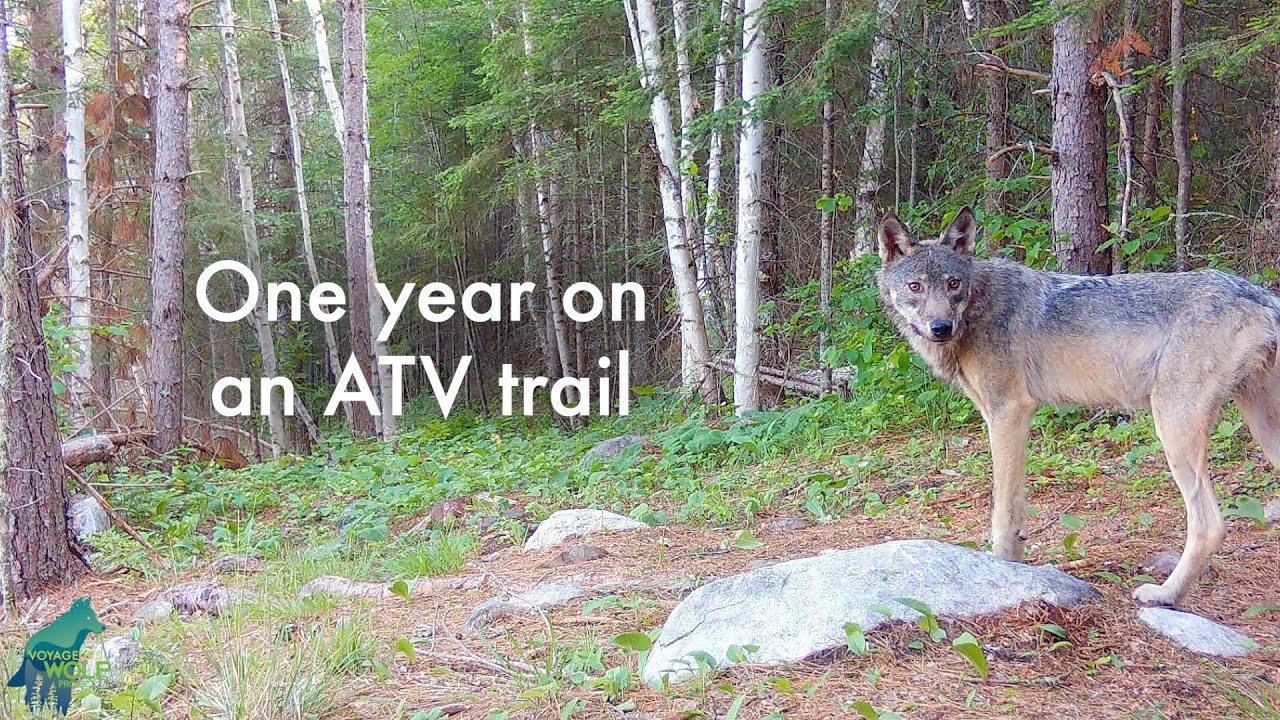 One year on an ATV trail