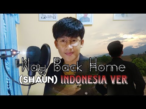 Way Back Home (SHAUN) Cover Indonesia Ver.