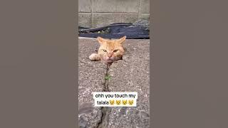 You touch my tralala 🧐