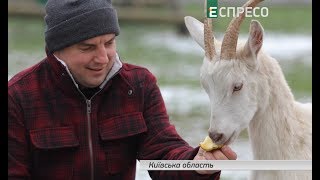 Успешные в Ураине | ТМ 