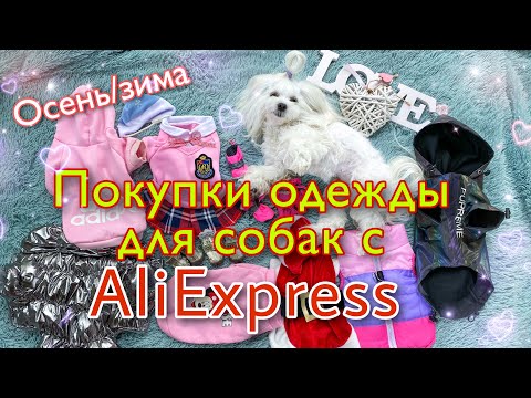 Aliexpress: Одежда Для Собак На ОсеньЗиму.