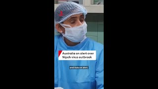Australia On Alert After Nipah Virus Outbreak In India