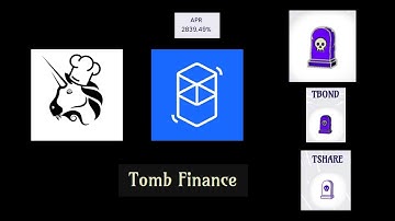 TOMB Finance! Seigniorage Protocol on Fantom Network! %3000 APR!