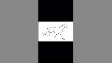 horse running animation #stickman