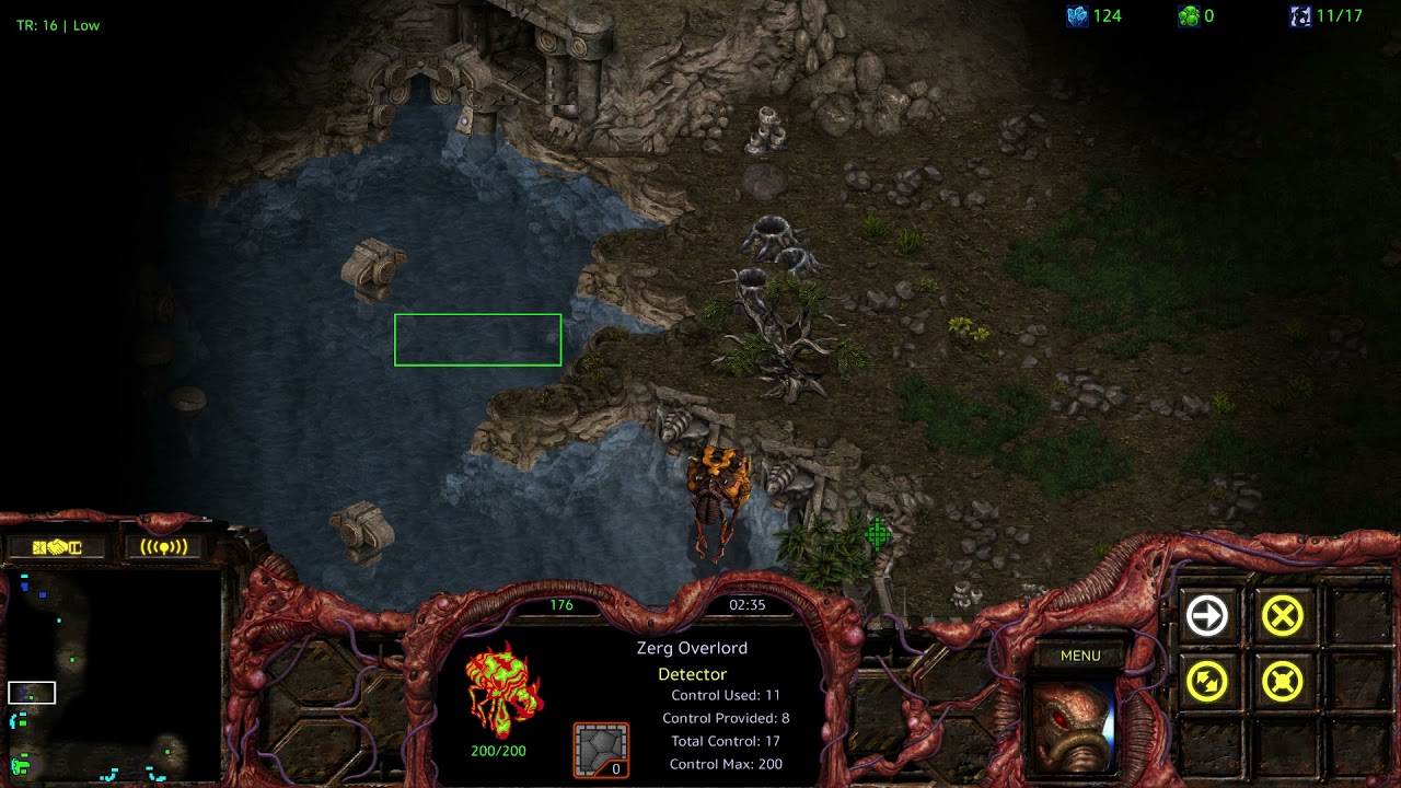 Brood War 2021 zvt boy