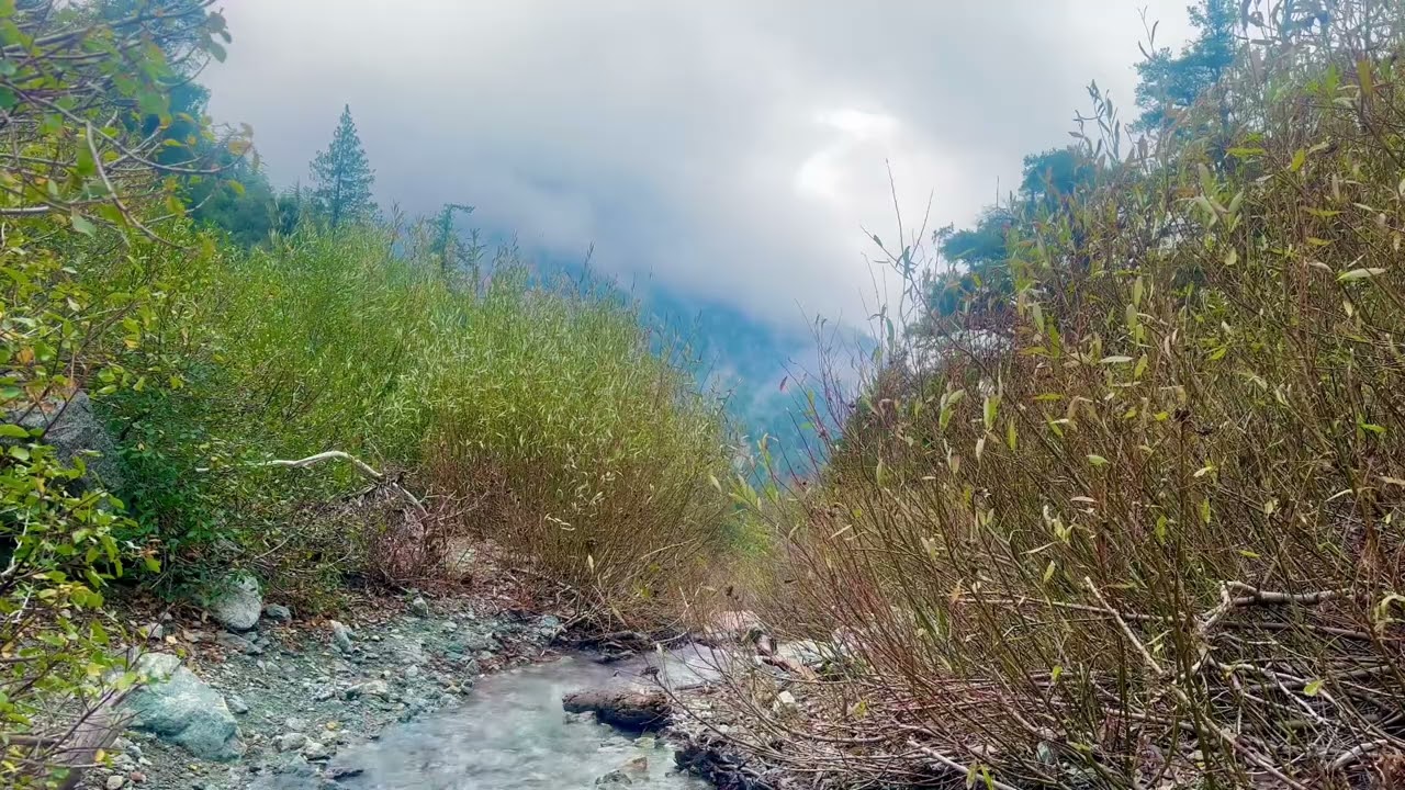 Running Creek Water Sounds — Stress Relief, Focus, Sleep & Meditation