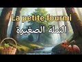 تعلم اللغة الفرنسية قصة النملة الصغيرة مترجمة باللغة العربية 