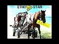 Sogorii - Casuta noastra - CD - Etno Star