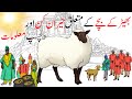 Interesting facts about Sheep | Interesting Facts About Sheep | Hidden Secrets