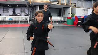 Basic Form #3 with Nunchaku