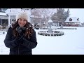 Winter Interest Garden Tour ❄️🌲// Garden Answer