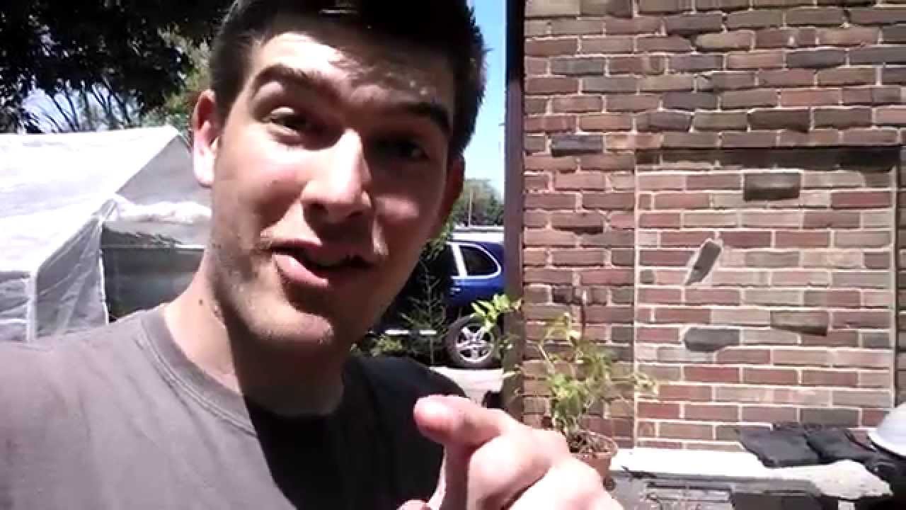 vegas hotels Grow lettuce Instead of Flowers