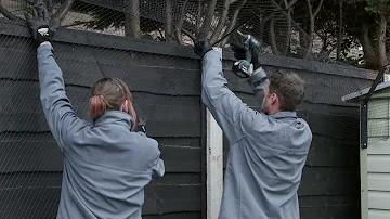 Comment empêcher un chat de sauter une clôture ?