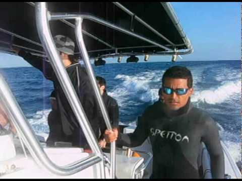 Nautilus Spearfishing Miami and Keys