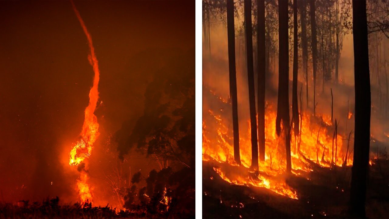 Огненные смерчи на юге Приморья. Скорость вихрей из пламени, дыма и пепла достигали до 100 км/час