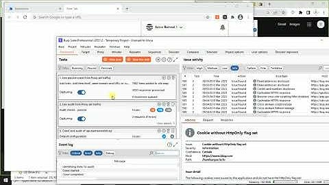 How to use Burp suite target scope