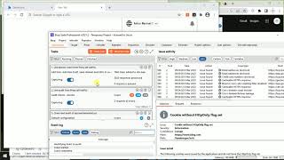 How to use Burp suite target scope