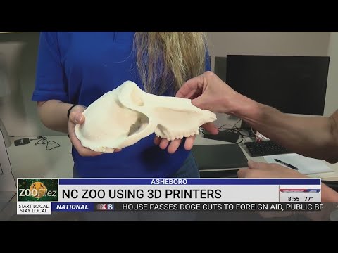 See how 3D