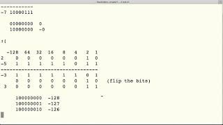 Storing Negative Numbers in Binary Format ant Two's Complement