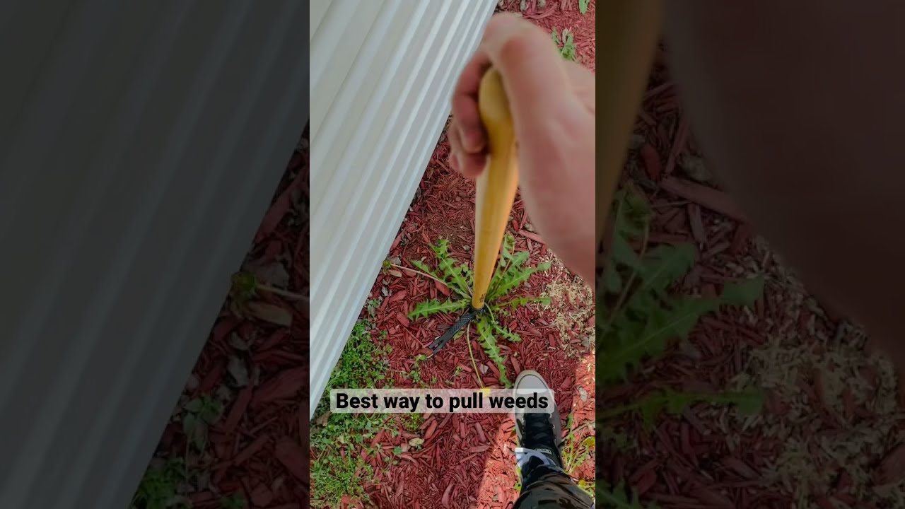 Easiest Way To Pull Weeds