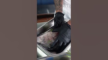 Cá nướng muối tuyết - Món ăn đường phố