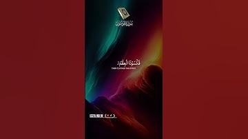 #اكسبلور #المصحف #duet #嗡嗡嗡 #الرحمن #راحة_نفسية #دويتو 🇳🇪🄼🄰🅂🄷🄰 🄰🄻🄻🄰🄷🌹القرآن الكريم🌹