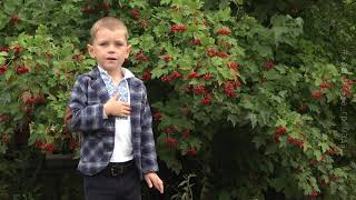 Гімн України у виконанні юного жашківчанина Віталія Лавренюка (4 роки)