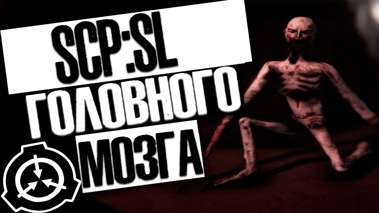 Scp sl server