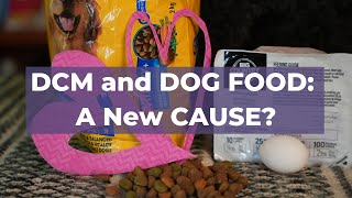 The Latest Update: Is Your Dog Food Causing DCM?