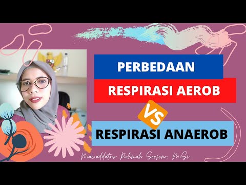 Video: Perbedaan Antara Bakteri Aerobik Dan Anaerobik