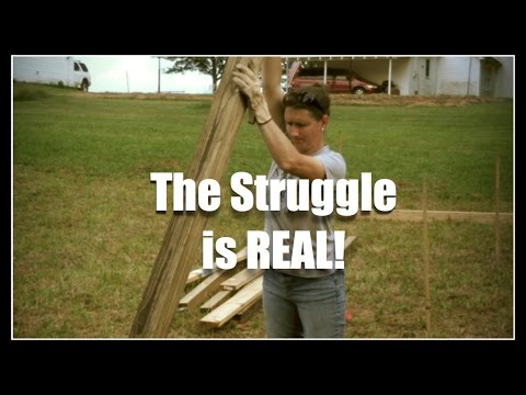 Homesteading & Homeschooling - The Struggle is REAL~