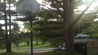 Amazing Basketball Shot